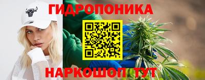 прущая мука Гудермес