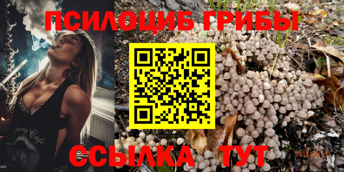 Верхняя Пышма  Галлюциногенные грибы MAGIC MUSHROOMS  Вход с VPN 